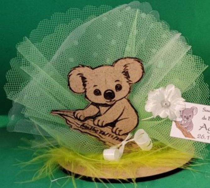 ../Images/ballotin koala 11 23.jpg